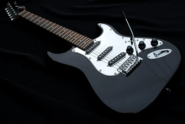 SELDER SELDER ST-18 / ストラトキャスターモデル ミラーピックガード